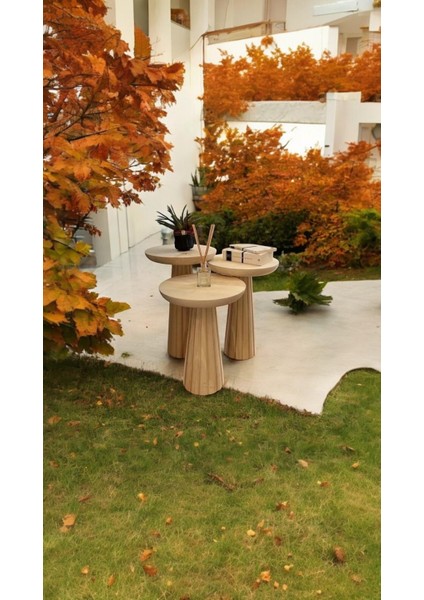 Wooden 3’lü Set Fitilli Mantar Yan Sehpa Modern fiyatları