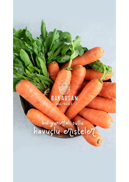 Ev Yapımı Havuçlu Erişte 500 gr fırsatları