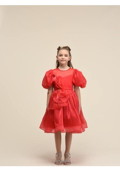 Kız Çocuk Balon Kollu Şık ve Parlak Abiye Elbise