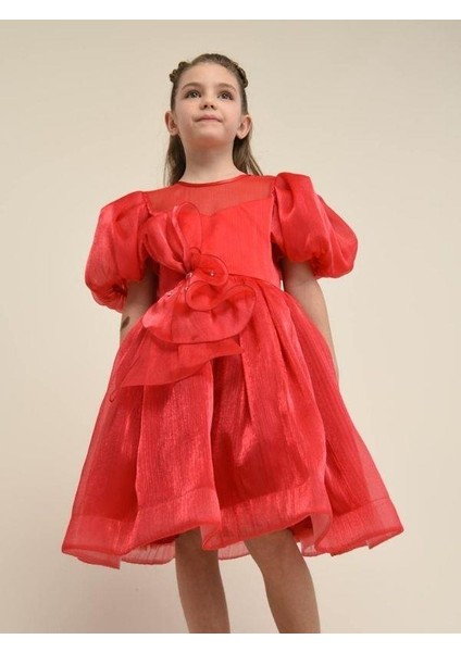 Kız Çocuk Balon Kollu Şık ve Parlak Abiye Elbise fiyatları