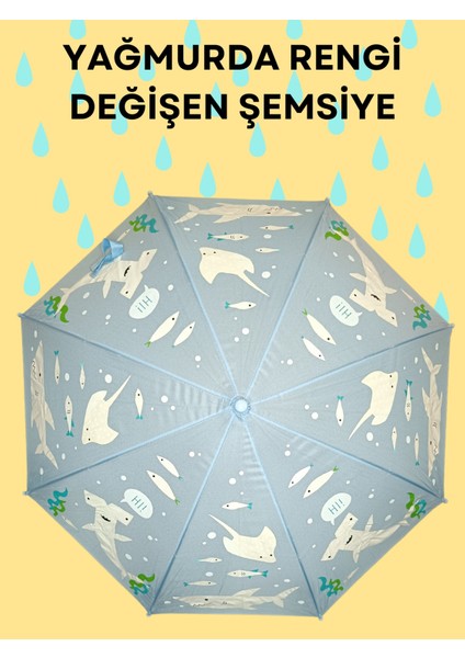 Yağmurda Rengi Değişen Mavi Erkek Çocuk Şemsiye fırsatları