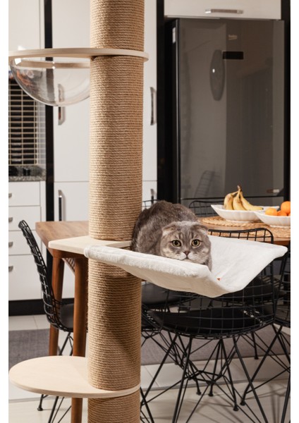 Daisy 250 cm Yüksekliğinde Kedi Tırmalama Ağacı –Meşe Ahşap, Balkon Ve Uzay Kapsüllü Oyun Alanı fiyatları