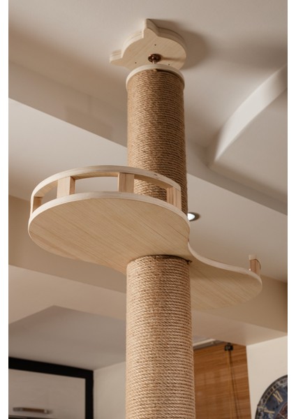 Daisy 250 cm Yüksekliğinde Kedi Tırmalama Ağacı –Meşe Ahşap, Balkon Ve Uzay Kapsüllü Oyun Alanı fırsatları