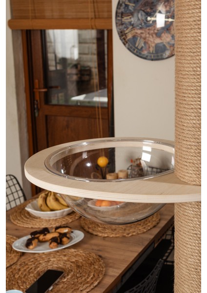 Daisy 250 cm Yüksekliğinde Kedi Tırmalama Ağacı –Meşe Ahşap, Balkon Ve Uzay Kapsüllü Oyun Alanı