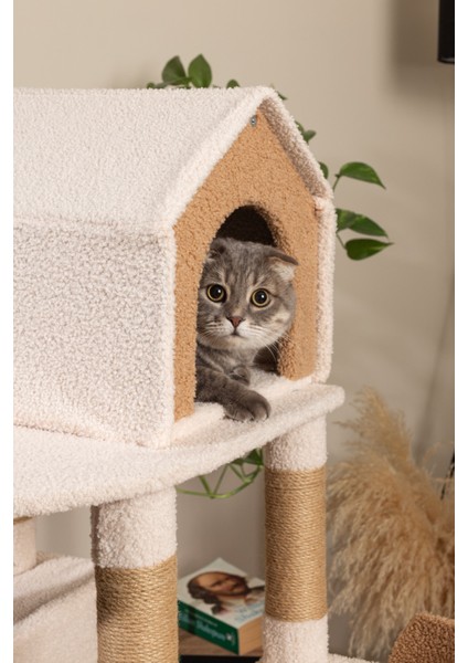 Luna Kedi Ağacı - 3 Katlı, Tırmalama Direği, Yatak ve Oyuncaklı, Bej-Kahverengi, Kolay Kurulum
