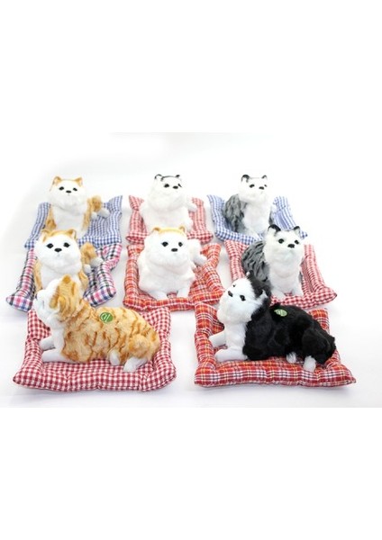 Kafa Sallayan Yastıklı Kedi