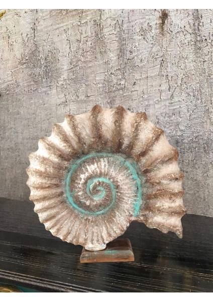 Kaideli Deniz Kabuğu Polyester Dekoratif Biblo 30 x 30 cm
