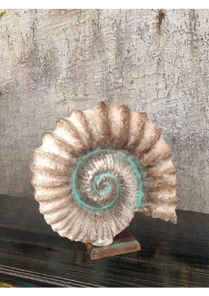 Kaideli Deniz Kabuğu Polyester Dekoratif Biblo 30 x 30 cm
