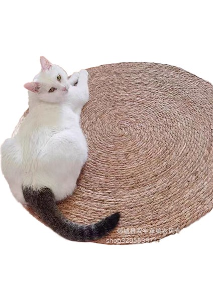 Can Sıkıntısını Giderme ve Kedi Oyuncakları (Yurt Dışından)