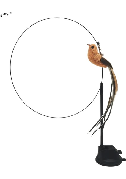 Kedi Alayları Kendini Ifade Etme Can Sıkıntısı Için Kedi Oyuncakları (Yurt Dışından)