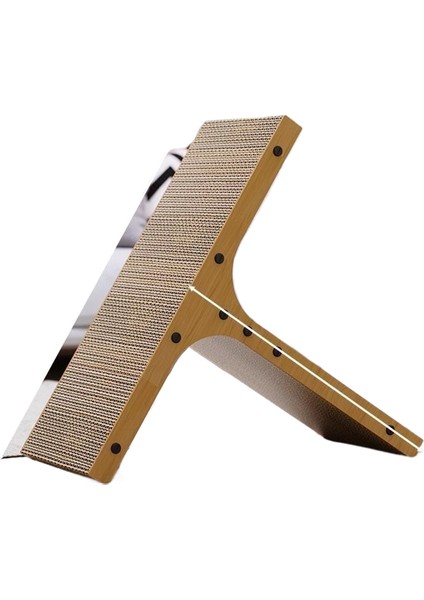 Kedi Can Sıkıntısını Gidermek Için Kedi Oyuncağıyla Dalga Geçiyor (Yurt Dışından)