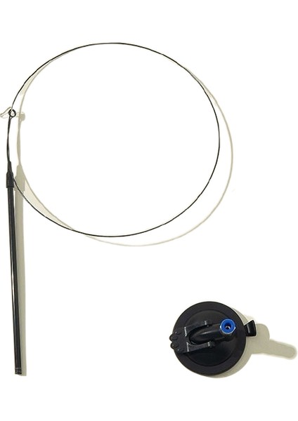 Kedi Can Sıkıntısını Gidermek Için Kedi Oyuncağıyla Dalga Geçiyor (Yurt Dışından)