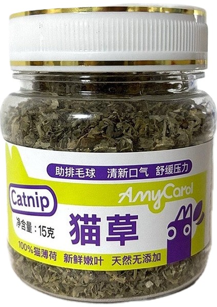 Kedi Can Sıkıntısını Gidermek Için Kedi Oyuncağıyla Dalga Geçiyor (Yurt Dışından)