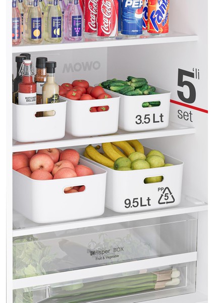 Freezer Box 5’li Buzdolabı Saklama Kabı 9,5 Lt – 3.5 Lt Düzenleyici Kutu, Organizer, Storage