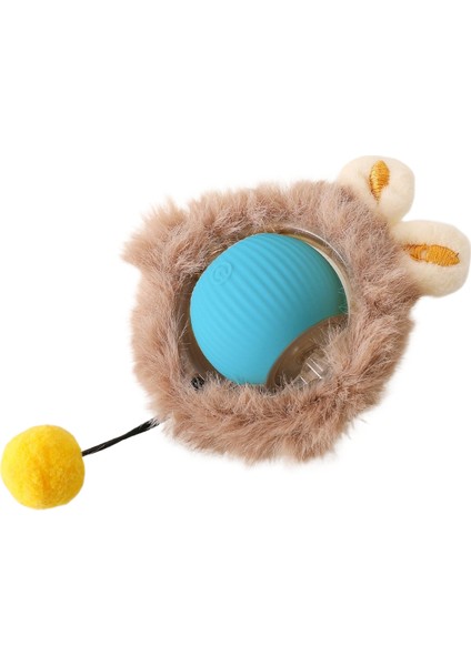 Can Sıkıntısını Giderme ve Kedi Oyuncakları (Yurt Dışından)