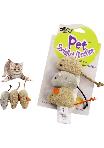 Can Sıkıntısını Giderme ve Kedi Oyuncakları (Yurt Dışından)