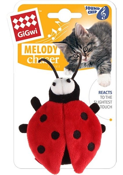 Can Sıkıntısını Giderme ve Kedi Oyuncakları (Yurt Dışından)