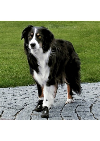 Köpek Yürüyüş Botu 2 Adet xs-S Siyah