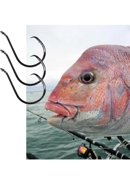Icerıo 20 Adet Tuzlu Su Anti Korozyon Snapper Balıkçılık Çember Kanca Keskin Nokta Japon Çelik Anti Pas Kanca 1# modelleri
