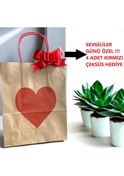 Sevgililer Günü Özel Kırmızı Kalp Baskılı Kraft Kağıt Çanta / 2 Büyük + 2 Küçük Vee Çeksüs