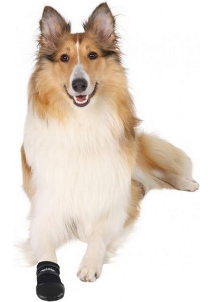 Köpek Patiği Neopren 2 Adet Xxl Siyah