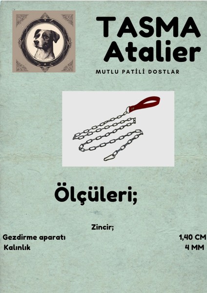 Zincirli Köpek Gezdirme Aparatı 4mm-140cm