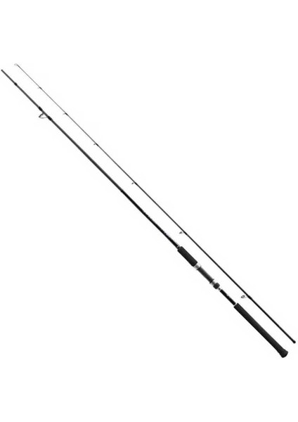 Salty Advance Sea Bass 290CM 6-32 gr Spin Kamışı