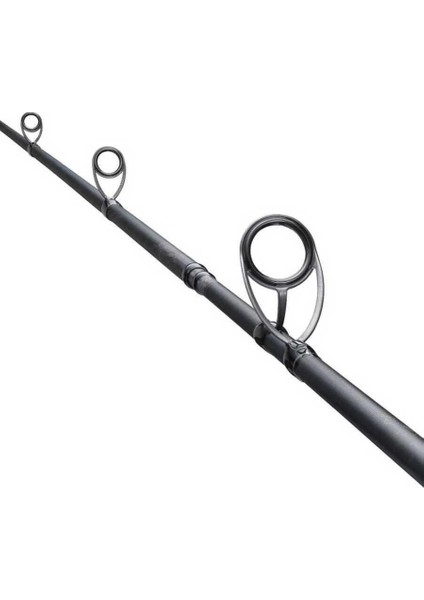 Salty Advance Sea Bass 290CM 6-32 gr Spin Kamışı