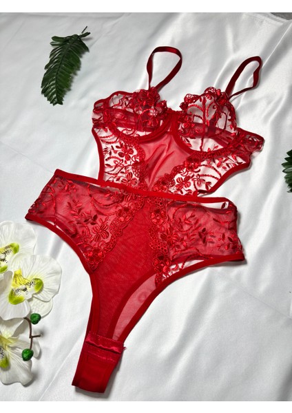 Siyah Dantelli Çıtçıtlı Dekolteli Tül Detaylı Kadın Bodysuit fiyatları