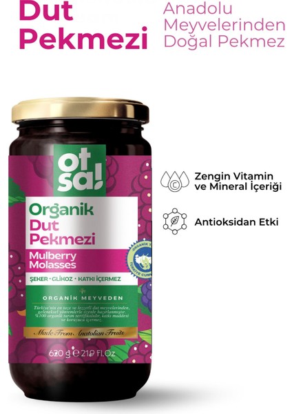 Organik Dut Pekmezi 620 gr