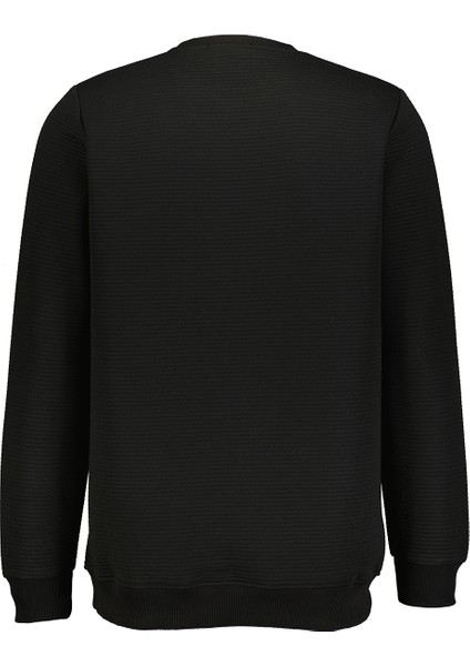 Erkek Sweat 2420109026