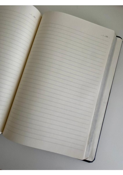 (Isim Yazıyoruz) Thermo Deri Kapaklı Gümüş Kenar Boyalı 17X24CM Çizgili Defter
