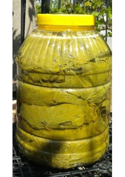 Tokat Salamura Yaprak 5kg