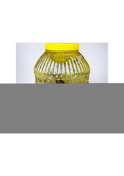 Tokat Salamura Yaprak 5kg fırsatları