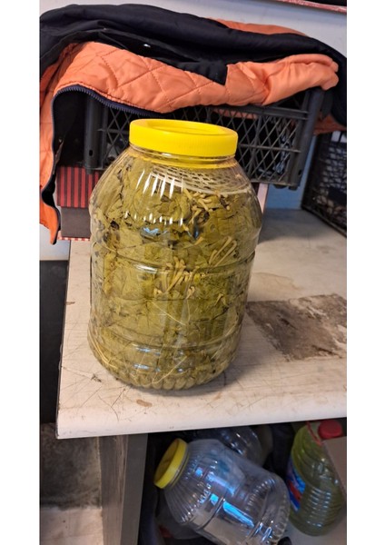 Tokat Salamura Yaprak 5kg indirimleri