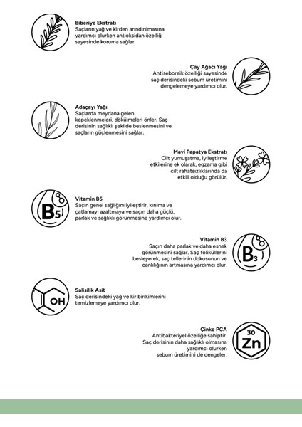 Ince Telli ve Yağlı Saçlar Için Arındırıcı Sülfatsız Saç Bakım Seti indirimleri