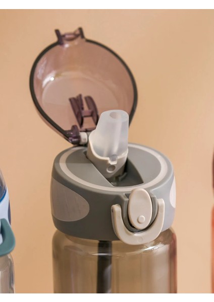 Lcw Accessorıes Karışık Baskılı Pipetli Suluk 630 ml T T fırsatları