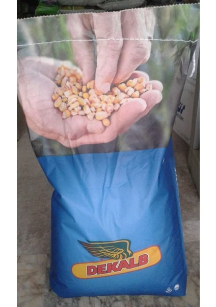 Dkc 6308 Silajlık Mısır Tohumu 50.000 Adet