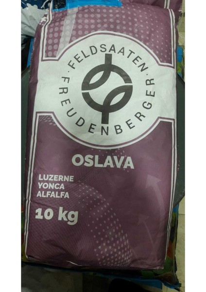Yonca Tohumu 10 kg