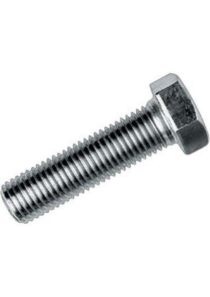 M8X45 Civata Beyaz Tam Paso 10 Adet