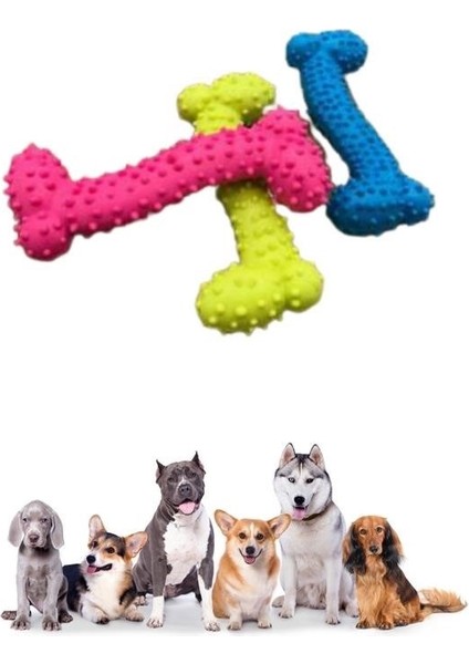 Tiny Kemik Oyuncağı Tırtıklı Yüzey Küçük Kemik Plastik Köpek Oyuncağı indirimleri