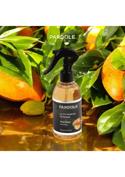 250 ml Mango Sprey Araç Kokusu