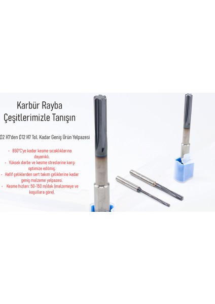 Pvd Kaplamalı Karbür Rayba Ø3 H7