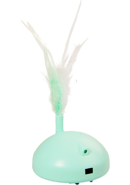 Kedi̇ Teaser Oyuncaği (Yurt Dışından)