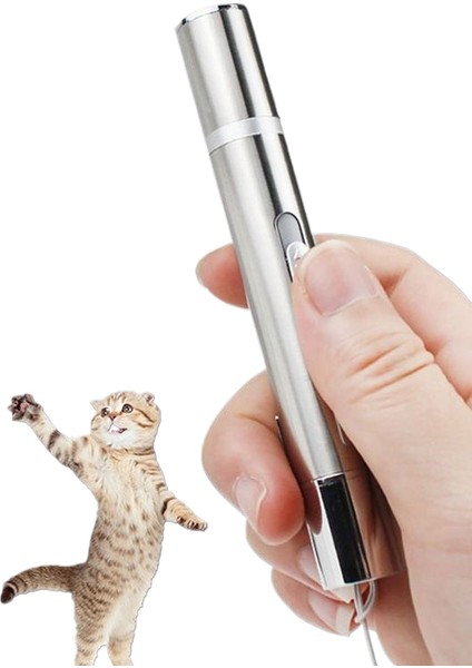 Kızılötesi Lazer Kedi Teaser (Yurt Dışından)