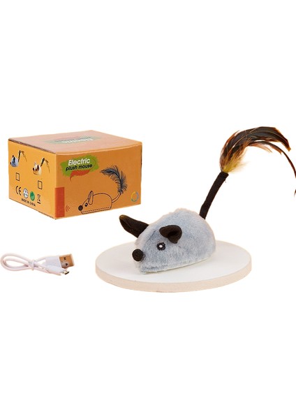 Kedi̇ Teaser Oyuncaği (Yurt Dışından)