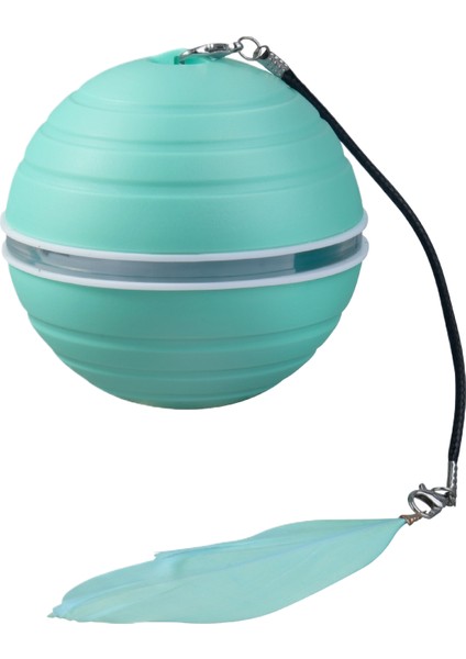 Kedi̇ Teaser Oyuncaği (Yurt Dışından)