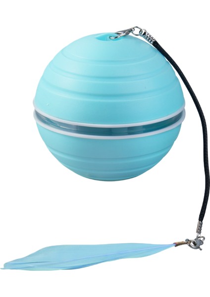 Kedi̇ Teaser Oyuncaği (Yurt Dışından)