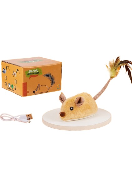 Kedi̇ Teaser Oyuncaği (Yurt Dışından)