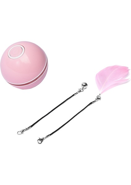 Kedi̇ Teaser Oyuncaği (Yurt Dışından)